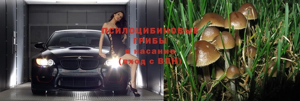 марихуана Пестово