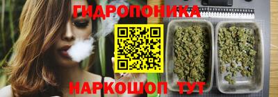 крисы Изобильный