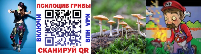 как найти закладки  Тобольск  Псилоцибиновые грибы GOLDEN TEACHER 