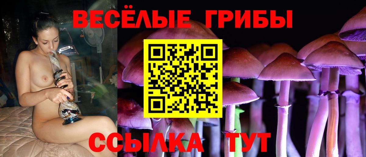 Тобольск  Псилоцибиновые грибы Cubensis  Вход с VPN 