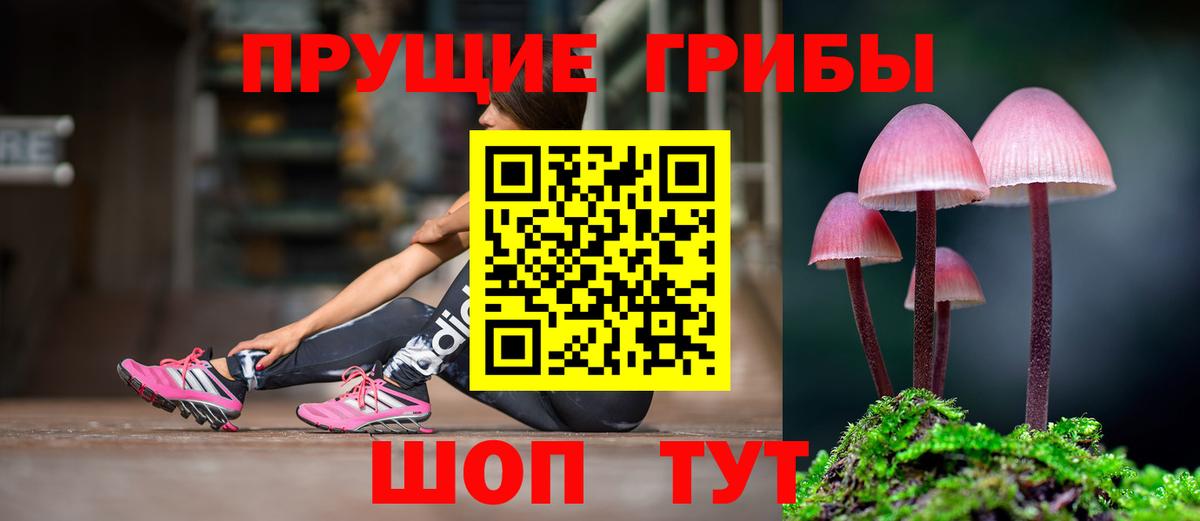 Галлюциногенные грибы ЛСД Тобольск